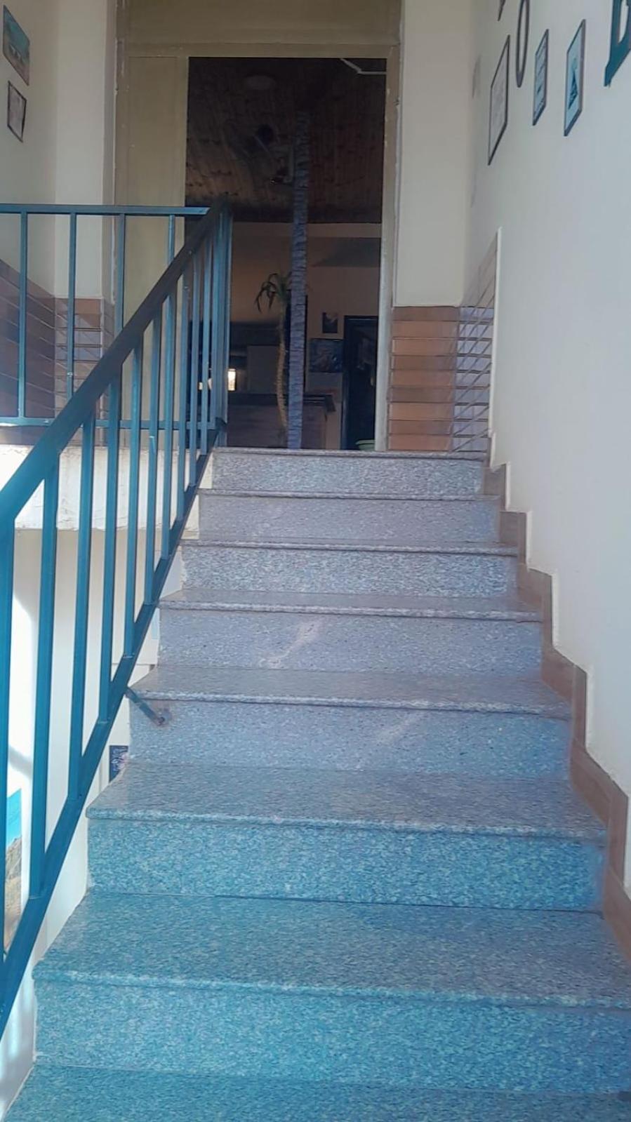 וואדי מוסא Petra Cabin Hostel מראה חיצוני תמונה